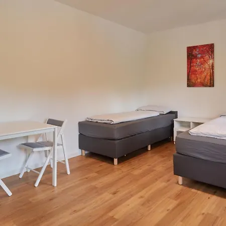 Lejlighed Monteurwohnungen In - Parkplatz - Einzelbetten - Waschmaschine Und Trockner Trier